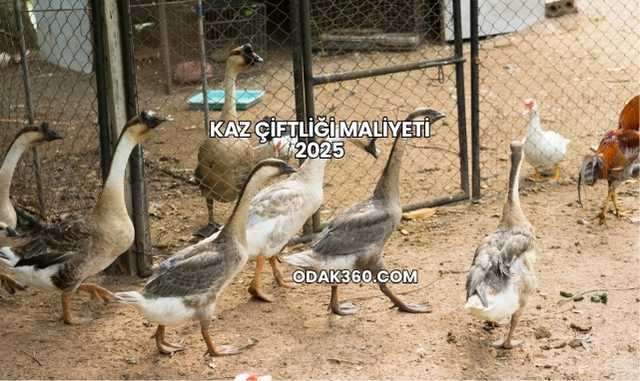 Kaz Çiftliği Maliyeti 2025
