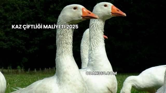 Kaz Çiftliği Maliyeti 2025