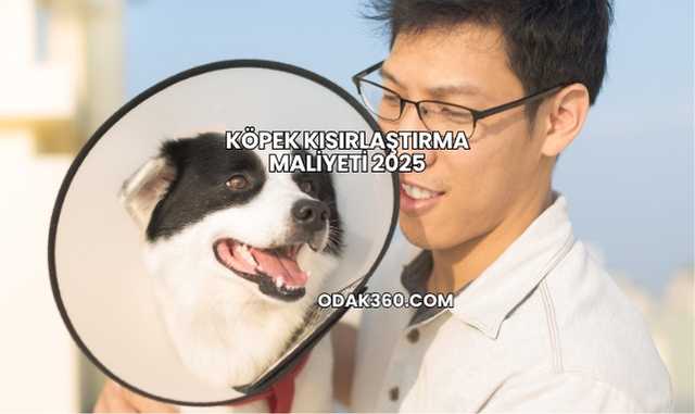 Köpek Kısırlaştırma Maliyeti 2025