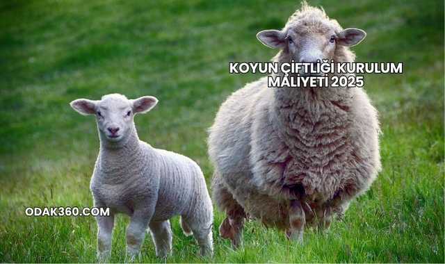 Koyun Çiftliği Kurulum Maliyeti 2025