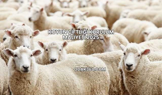 Koyun Çiftliği Kurulum Maliyeti 2025