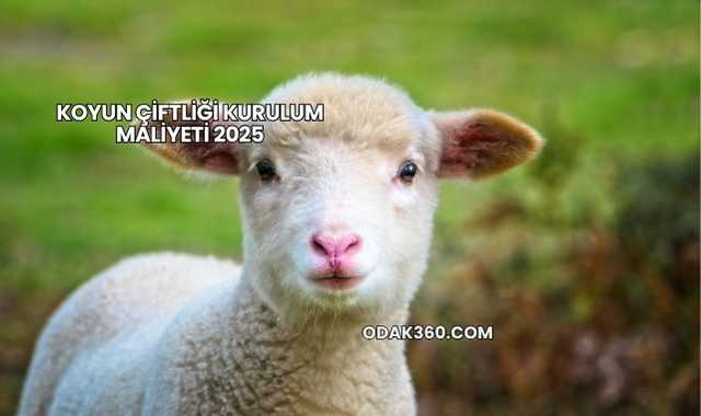 Koyun Çiftliği Kurulum Maliyeti 2025
