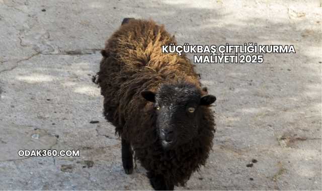 Küçükbaş Çiftliği Kurma Maliyeti 2025