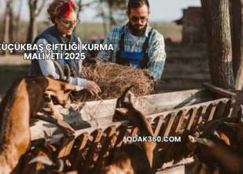 Küçükbaş Çiftliği Kurma Maliyeti 2025