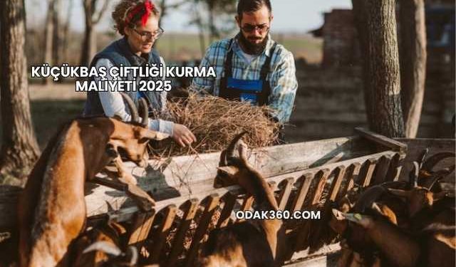 Küçükbaş Çiftliği Kurma Maliyeti 2025