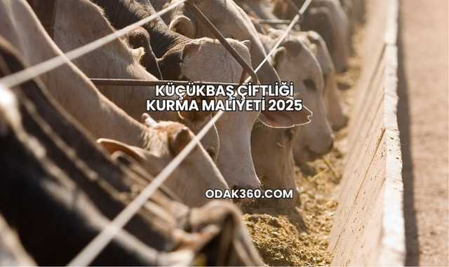 Küçükbaş Çiftliği Kurma Maliyeti 2025