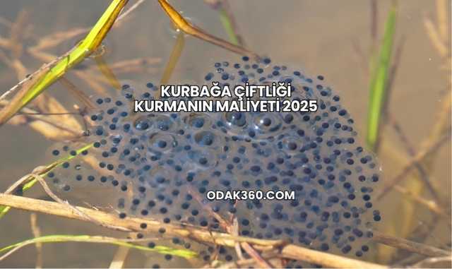 Kurbağa Çiftliği Kurmanın Maliyeti 2025