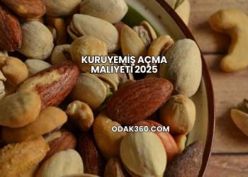 Kuruyemiş Açma Maliyeti 2025