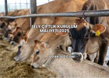 Lely Çiftlik Kurulum Maliyeti 2025