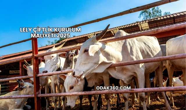 Lely Çiftlik Kurulum Maliyeti 2025