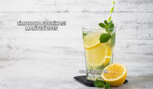 Limonata Fabrikası Maliyeti 2025