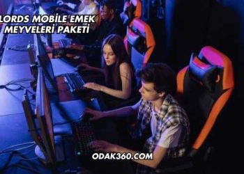 Lords Mobile Emek Meyveleri Paketi
