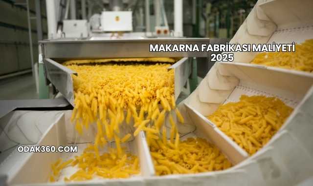 Makarna Fabrikası Maliyeti 2025