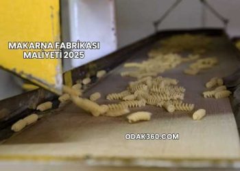 Makarna Fabrikası Maliyeti 2025