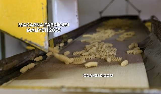 Makarna Fabrikası Maliyeti 2025