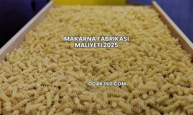 Makarna Fabrikası Maliyeti 2025