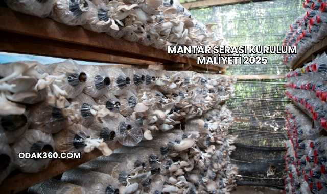 Mantar Serası Kurulum Maliyeti 2025