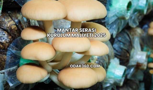 Mantar Serası Kurulum Maliyeti 2025