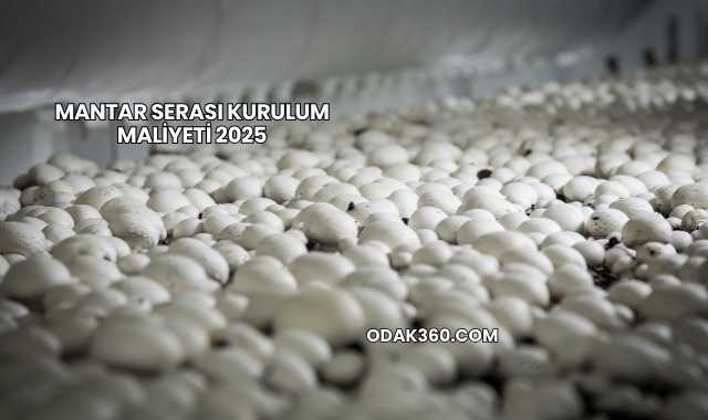 Mantar Serası Kurulum Maliyeti 2025