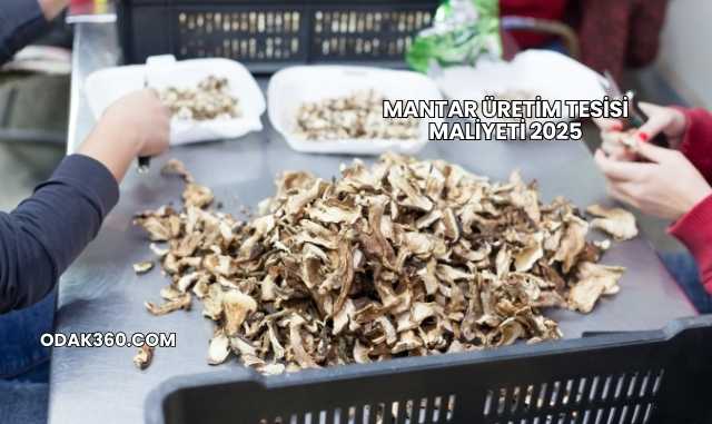 Mantar Üretim Tesisi Maliyeti 2025