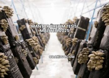 Mantar Üretim Tesisi Maliyeti 2025