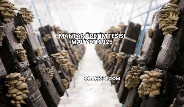 Mantar Üretim Tesisi Maliyeti 2025