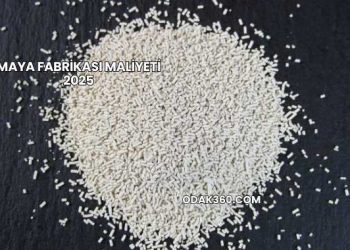 Maya Fabrikası Maliyeti 2025