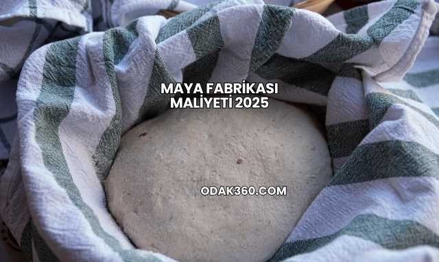 Maya Fabrikası Maliyeti 2025