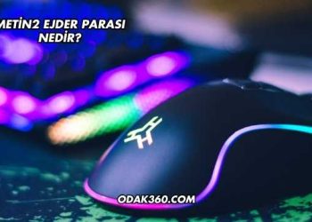 Metin2 Ejder Parası Nedir?