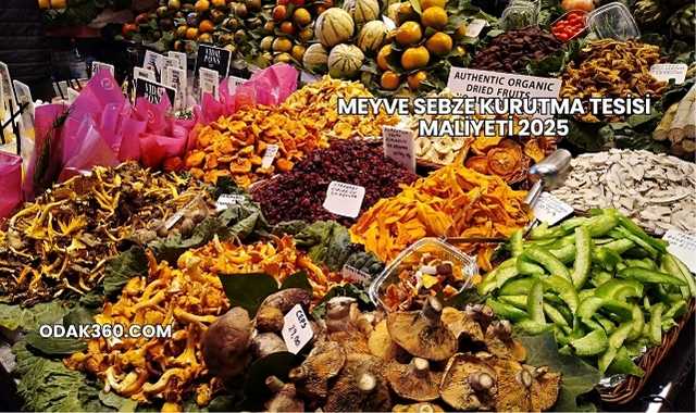 Meyve Sebze Kurutma Tesisi Maliyeti 2025