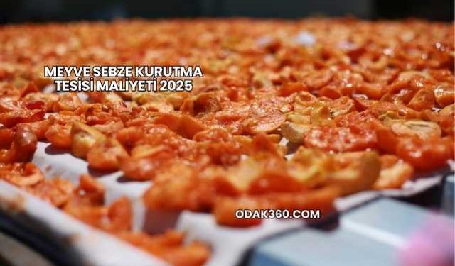 Meyve Sebze Kurutma Tesisi Maliyeti 2025