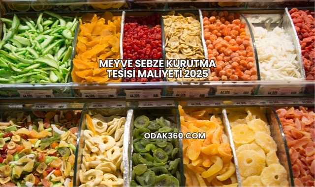 Meyve Sebze Kurutma Tesisi Maliyeti 2025