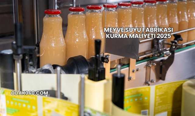 Meyve Suyu Fabrikası Kurma Maliyeti 2025