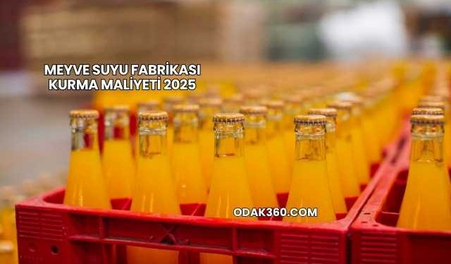 Meyve Suyu Fabrikası Kurma Maliyeti 2025