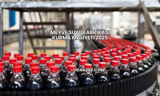 Meyve Suyu Fabrikası Kurma Maliyeti 2025