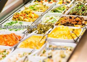 Mezeci Açma Maliyeti 2025