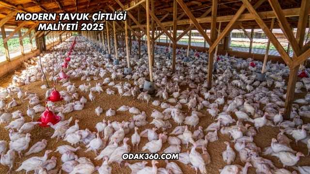 Modern Tavuk Çiftliği Maliyeti 2025