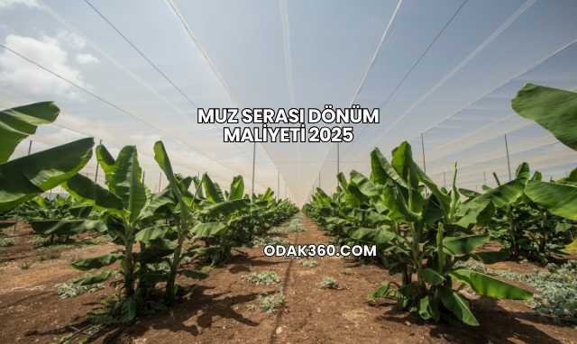 Muz Serası Dönüm Maliyeti 2025