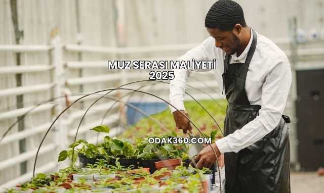 Muz Serası Maliyeti 2025