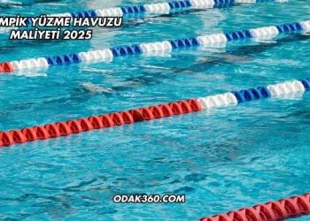 Olimpik Yüzme Havuzu Maliyeti 2025