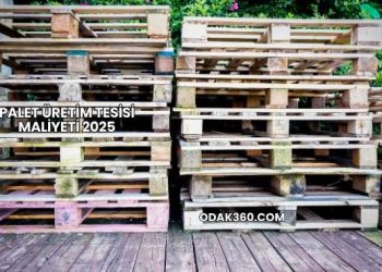 Palet Üretim Tesisi Maliyeti 2025