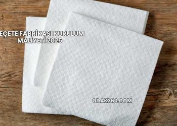 Peçete Fabrikası Kurulum Maliyeti 2025