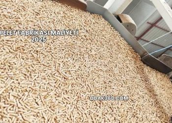 Pelet Fabrikası Maliyeti 2025