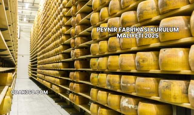 Peynir Fabrikası Kurulum Maliyeti 2025