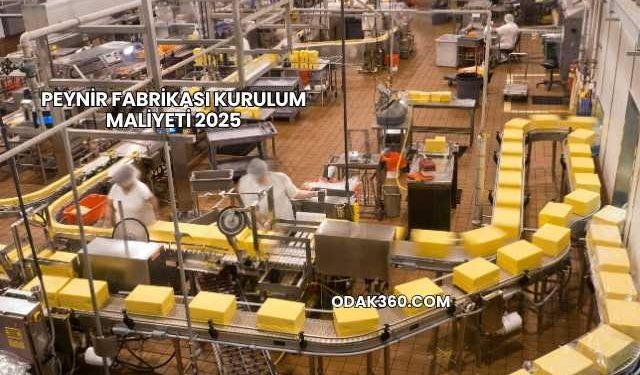 Peynir Fabrikası Kurulum Maliyeti 2025