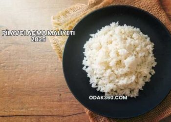 Pilavcı Açma Maliyeti 2025