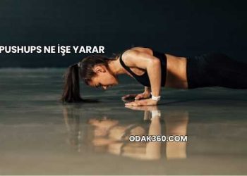 Pushups Ne İşe Yarar