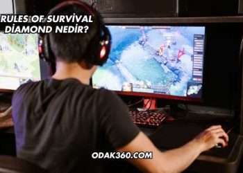 Rules Of Survival Diamond Nedir?