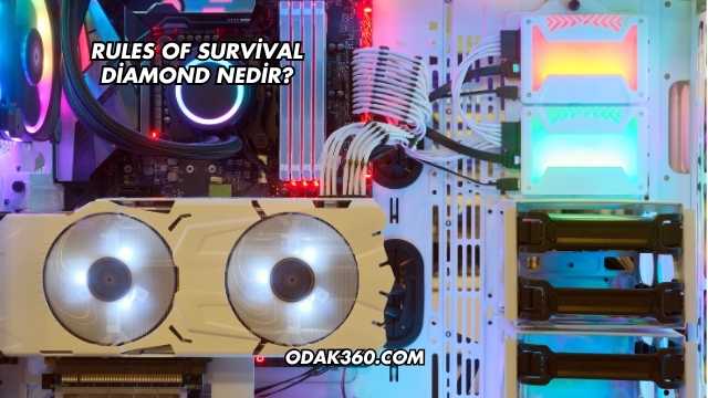 Rules Of Survival Diamond Nedir?