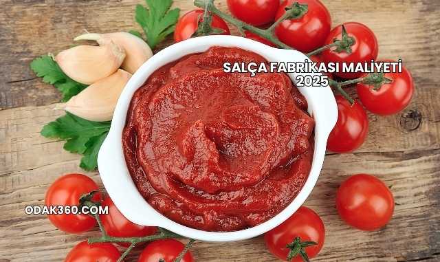 Salça Fabrikası Maliyeti 2025
